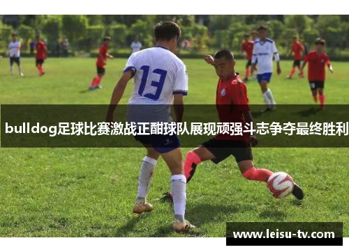  bulldog足球比赛激战正酣球队展现顽强斗志争夺最终胜利